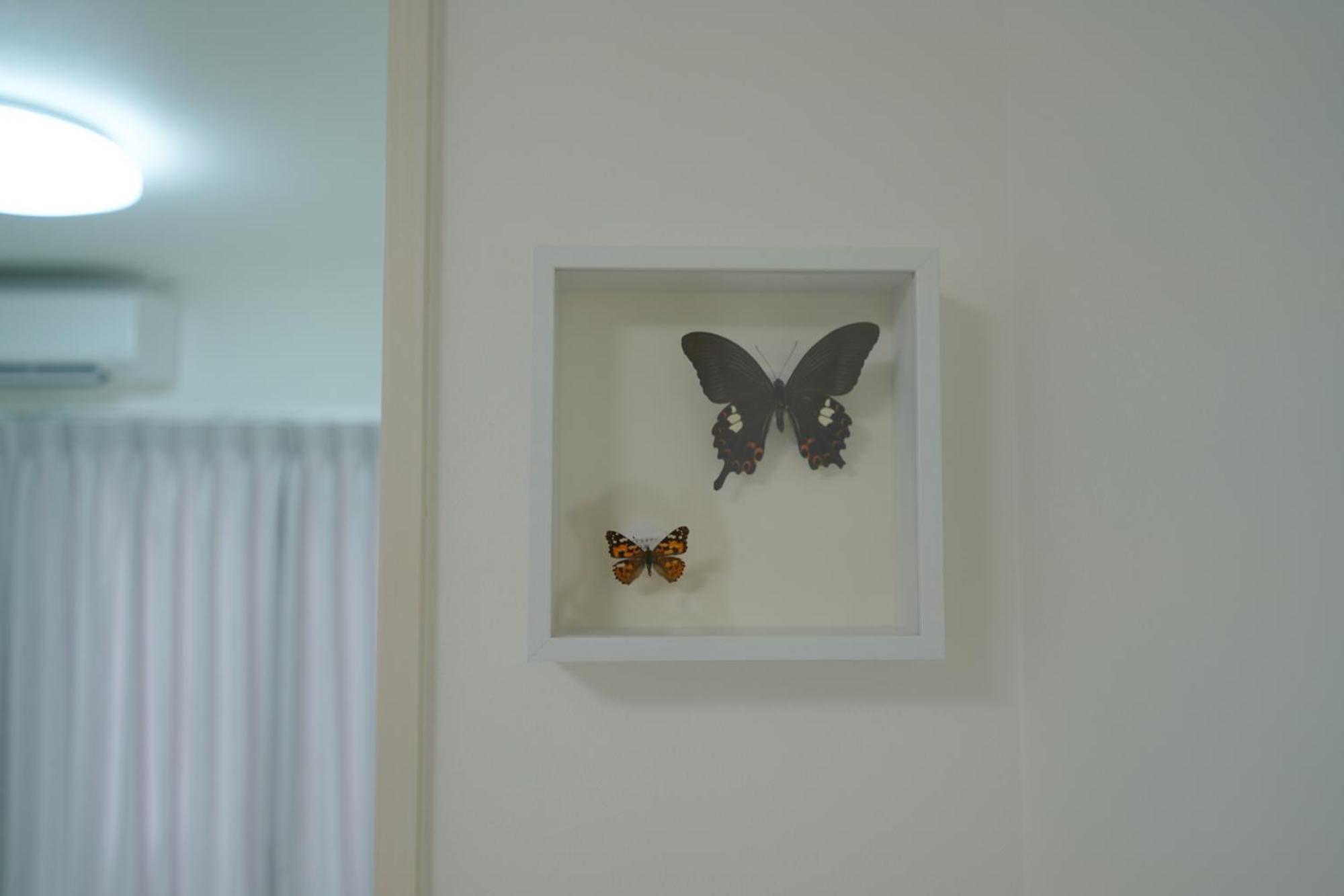 Wano-a Apartamento *